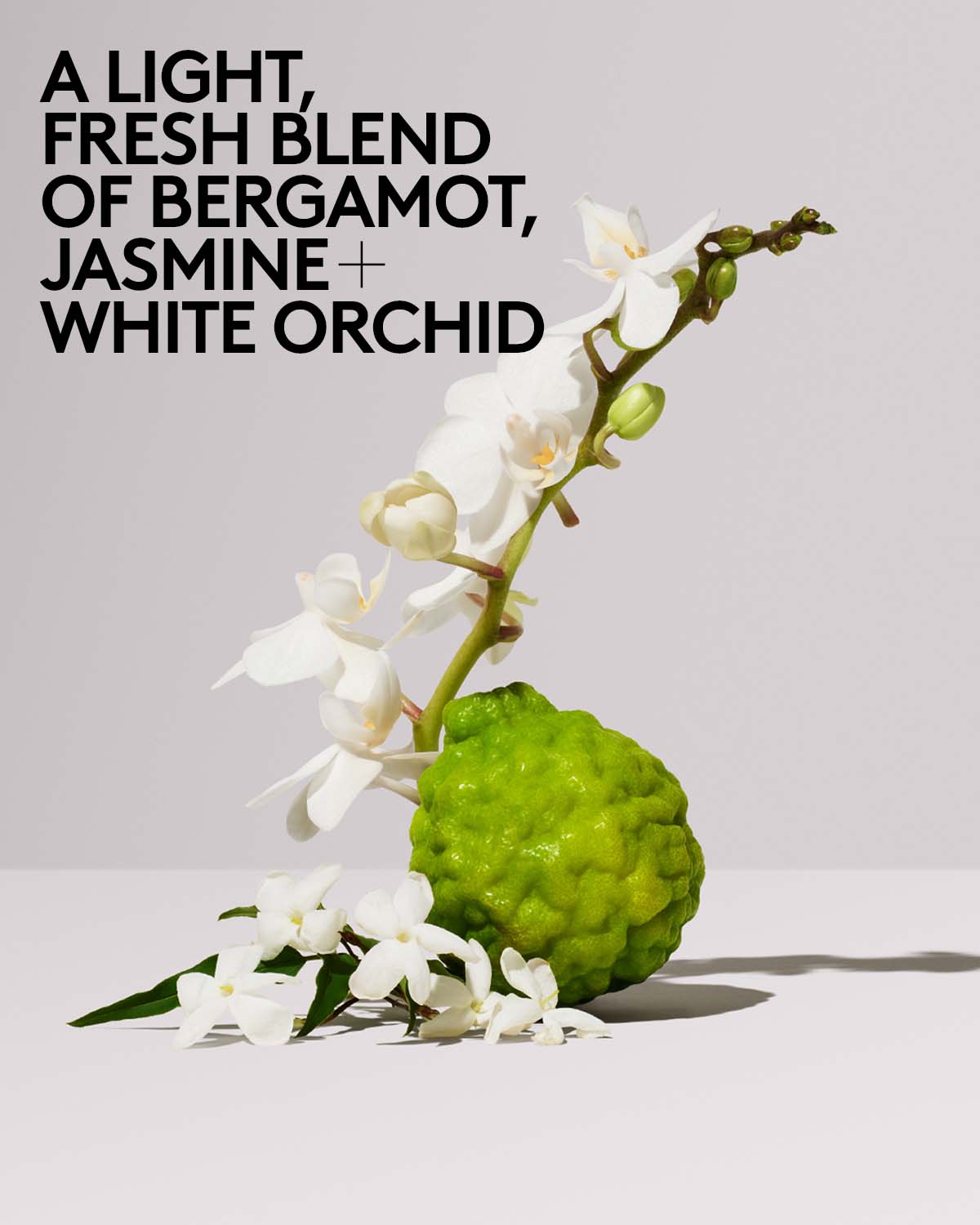 Butta Drop Whipped Oil Body Cream with Tropical Oils + Shea Butter — Fenty Fresh